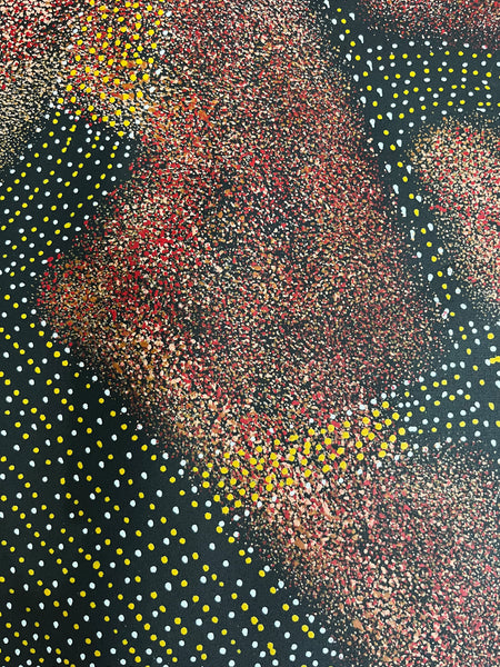 #342 - Anwekety (Bush Plum) Dreaming (Rust) - ARTIST: ROSEANNE MORTON PWERLE - 200cm X 88cm