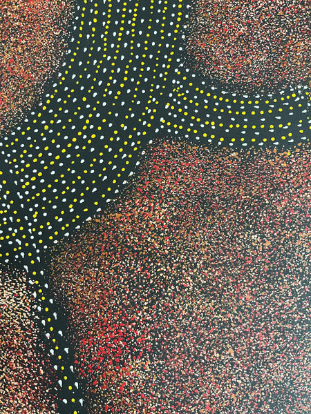 #342 - Anwekety (Bush Plum) Dreaming (Rust) - ARTIST: ROSEANNE MORTON PWERLE - 200cm X 88cm