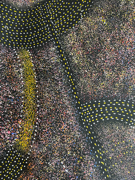 #295 - Anwekety (Bush Plum) Dreaming (Plum) - ARTIST: ROSEANNE MORTON PWERLE - 200cm X 88cm