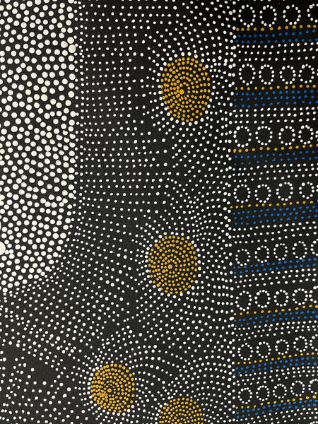 #241 Water Dreaming Ngapa (Earth/Blue) JANET LONG NAKAMARRA: Aboriginal Art: 70 x 93cm