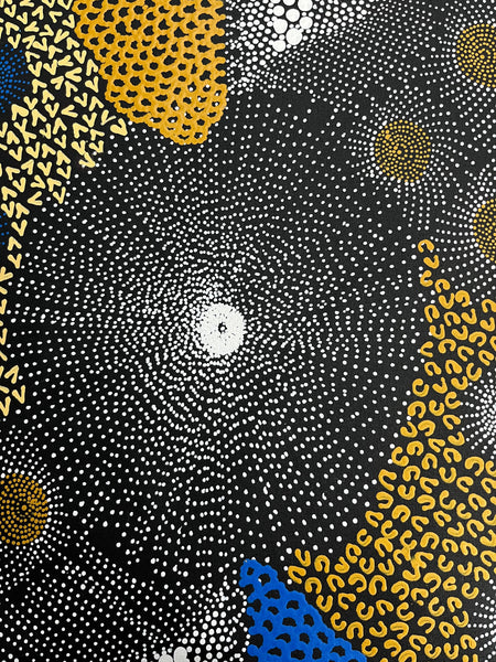 #241 Water Dreaming Ngapa (Earth/Blue) JANET LONG NAKAMARRA: Aboriginal Art: 70 x 93cm