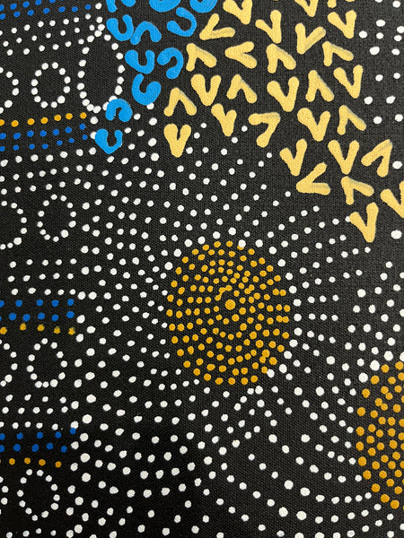 #241 Water Dreaming Ngapa (Earth/Blue) JANET LONG NAKAMARRA: Aboriginal Art: 70 x 93cm