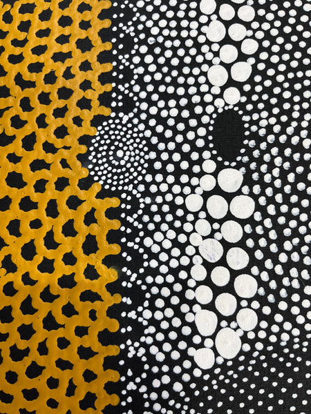 #241 Water Dreaming Ngapa (Earth/Blue) JANET LONG NAKAMARRA: Aboriginal Art: 70 x 93cm