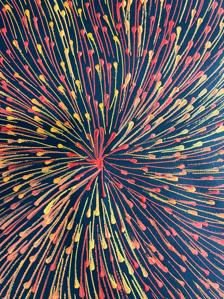 #40 Bush Medicine Seeds (Sunset) - SHARON NUMINA : Aboriginal Art: 88x147cm