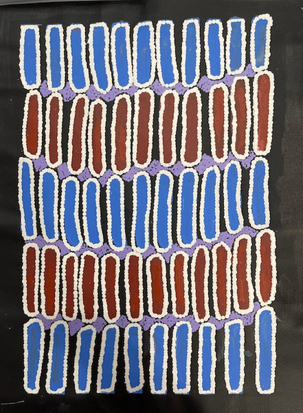 #105 Seeded Bush Yam - BARBARA PANANKA PRICE : Aboriginal Art: 52 x 46cm
