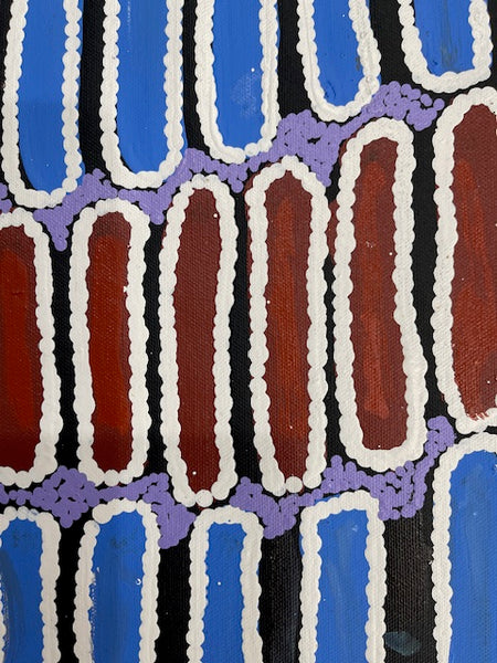 #105 Seeded Bush Yam - BARBARA PANANKA PRICE : Aboriginal Art: 52 x 46cm