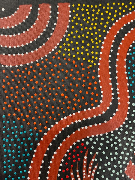 #178 Goanna Dreaming - JACINTA NUMINA : Aboriginal Art: 53x37cm