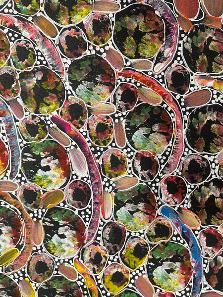 #153 Bush Yam Dreaming (Multi)- RACHAEL NAMBULA: Aboriginal Art 71x200cm