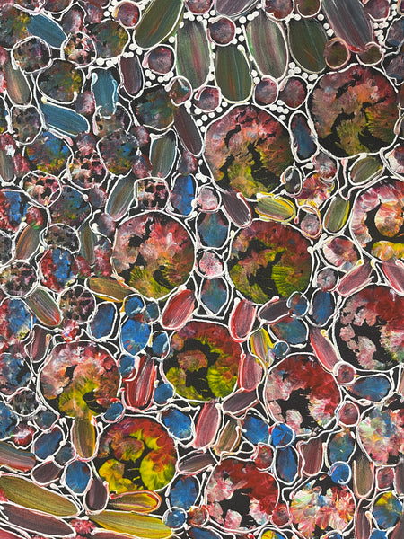 #153 Bush Yam Dreaming (Multi)- RACHAEL NAMBULA: Aboriginal Art 71x200cm