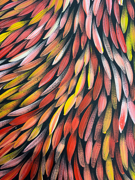 #273 Bush Medicine Leaves (Sunset) - SHARON NUMINA : Aboriginal Art: 41cm x 153cm