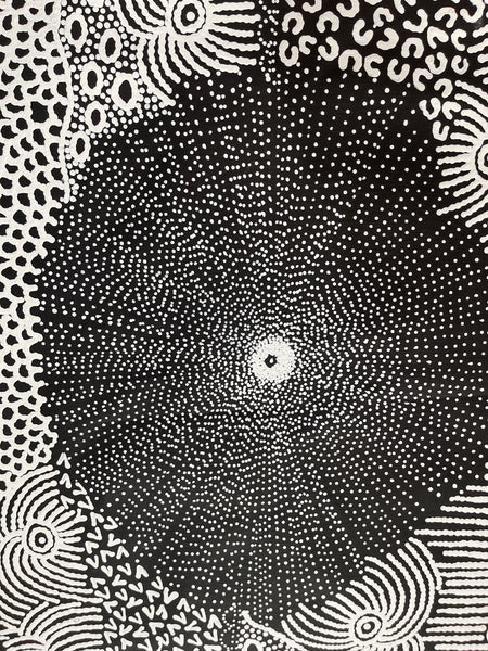 #348 Bandicoot Dreaming (black/white) - JANET LONG NAKAMARRA: Aboriginal Art: 81x101cm