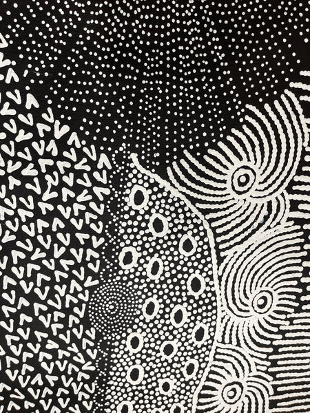 #348 Bandicoot Dreaming (black/white) - JANET LONG NAKAMARRA: Aboriginal Art: 81x101cm