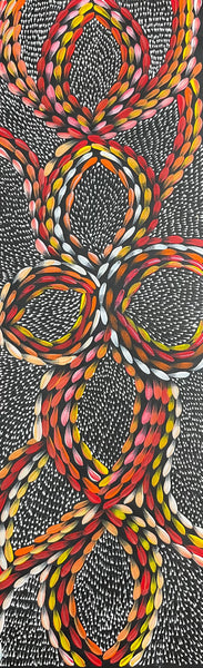 #69 Bush Medicine Leaves & Seeds (Sunset)  - Scott Duggie Aboriginal Art: 30cm x 93cm
