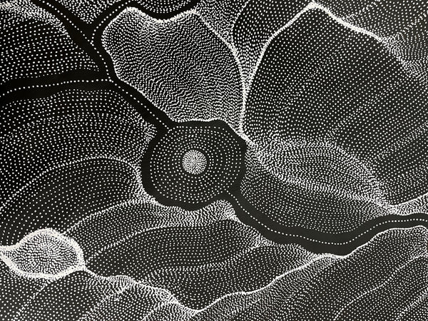 #103 My Country Dreaming (Black/White) ANNA PETYARRE: Aboriginal Art: 66cm x 200cm