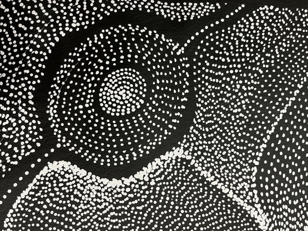#103 My Country Dreaming (Black/White) ANNA PETYARRE: Aboriginal Art: 66cm x 200cm