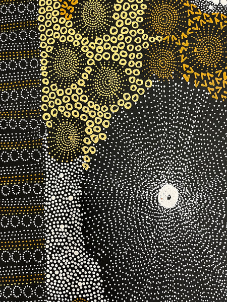 #194 Water Dreaming Ngapa (Earth) JANET LONG NAKAMARRA: Aboriginal Art: 72cm x 200cm