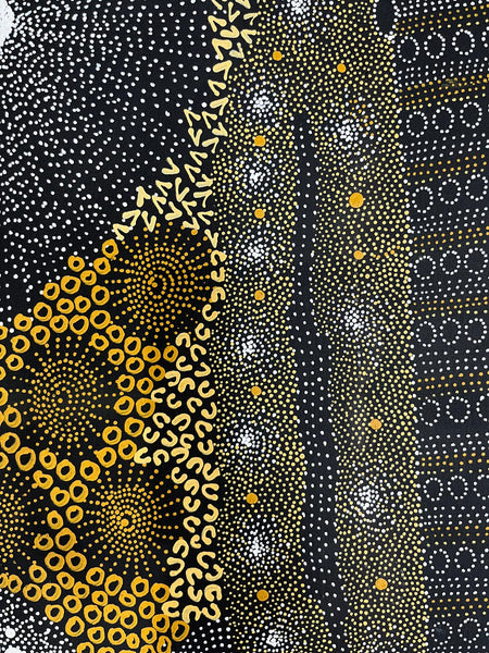 #194 Water Dreaming Ngapa (Earth) JANET LONG NAKAMARRA: Aboriginal Art: 72cm x 200cm