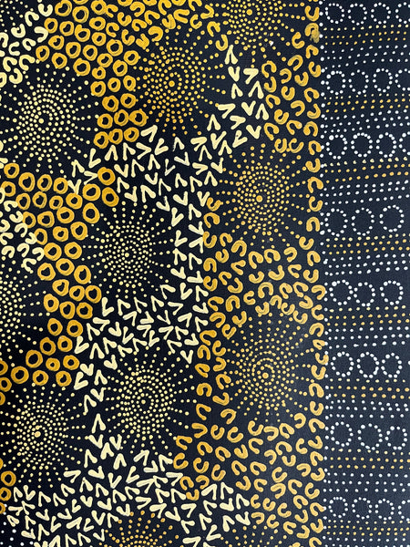 #194 Water Dreaming Ngapa (Earth) JANET LONG NAKAMARRA: Aboriginal Art: 72cm x 200cm