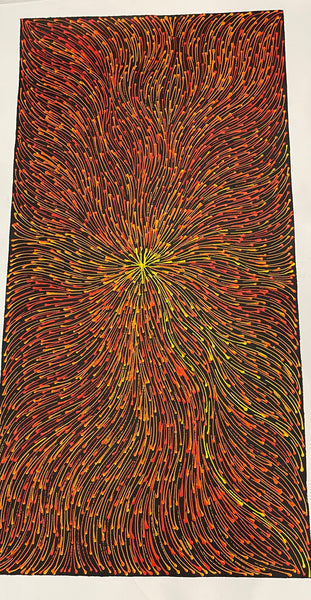 #219 Bush Medicine Seeds  - SHARON NUMINA : Aboriginal Art: 49 x 95cm