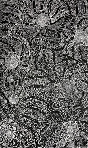 #135 My Country Dreaming (Monochrome) ANNA PETYARRE: Aboriginal Art 95cm x 147cm