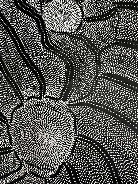 #135 My Country Dreaming (Monochrome) ANNA PETYARRE: Aboriginal Art 95cm x 147cm