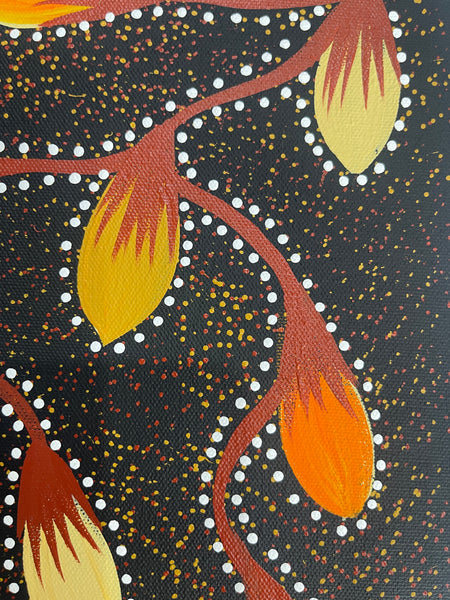 #124 Bush Tomato's - JACINTA NUMINA : Aboriginal Art: 43x33cm