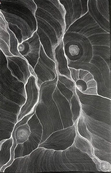 #81 My Country Dreaming (Black/White) ANNA PETYARRE: Aboriginal Art: 92cm x 143cm