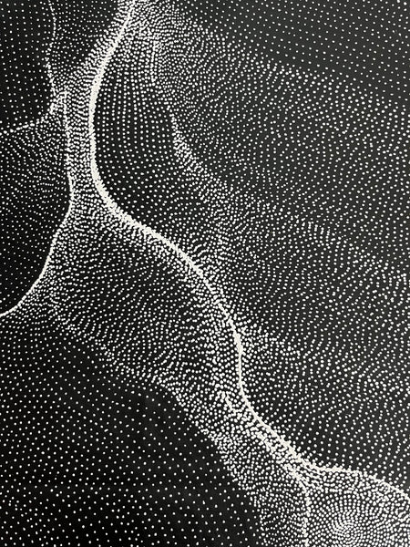 #81 My Country Dreaming (Black/White) ANNA PETYARRE: Aboriginal Art: 92cm x 143cm