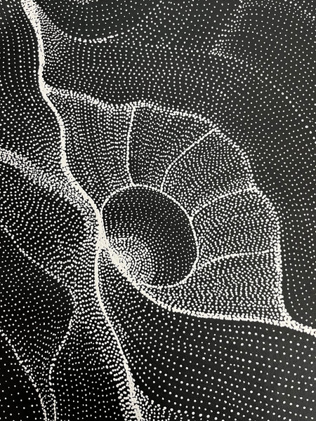 #81 My Country Dreaming (Black/White) ANNA PETYARRE: Aboriginal Art: 92cm x 143cm