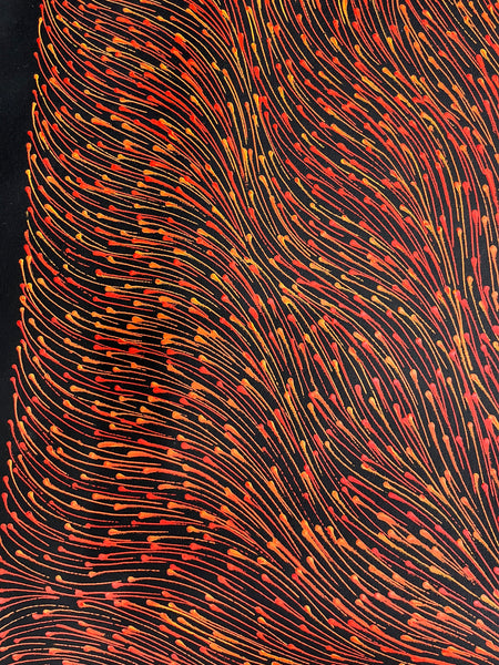 #171 Bush Medicine Seeds (Sunset) - SHARON NUMINA : Aboriginal Art: 200cm x 88cm