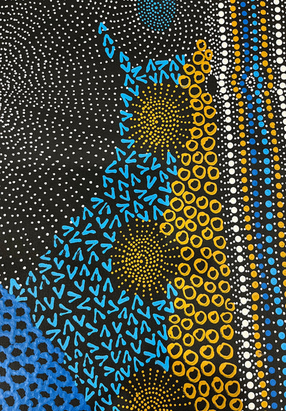 #11 Water Dreaming Ngapa (Blue/Earth) JANET LONG NAKAMARRA: Aboriginal Art: 70cm x 200cm