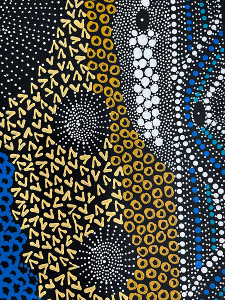 #204 Water Dreaming Ngapa (Blue/Earth) JANET LONG NAKAMARRA: Aboriginal Art: 70cm x 166cm