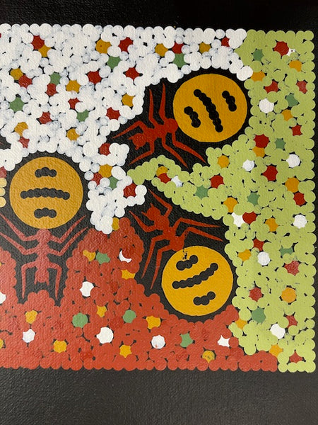 #13 Honey Ant Dreaming - JONATHAN HOCKLEY - Aboriginal Art: 15 x 55cm