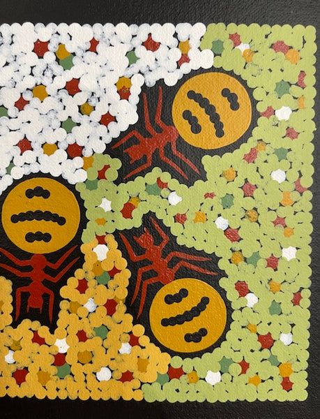 #13 Honey Ant Dreaming - JONATHAN HOCKLEY - Aboriginal Art: 15 x 55cm