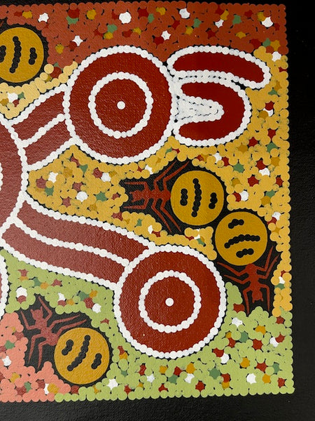 #74 Honey Ant Dreaming - JONATHAN HOCKLEY - Aboriginal Art: 22 x 42cm