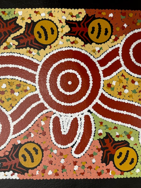 #74 Honey Ant Dreaming - JONATHAN HOCKLEY - Aboriginal Art: 22 x 42cm