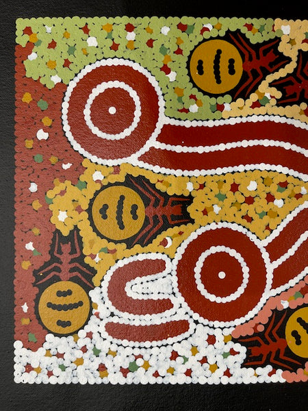 #74 Honey Ant Dreaming - JONATHAN HOCKLEY - Aboriginal Art: 22 x 42cm