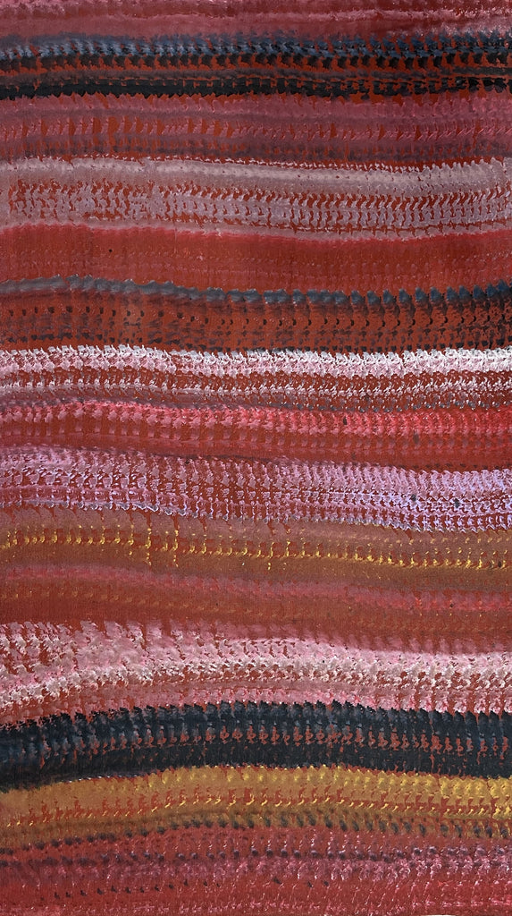 #249 Sugarbag Country - ABORIGINAL ARTIST: BARNEY ELLAGA (Collectors Piece) 52cm x 88cm