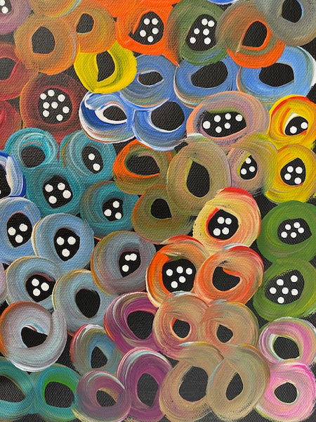 #135 Seeded Bush Melons - LOUISE NUMINA : Aboriginal Art: 31 x 41cm