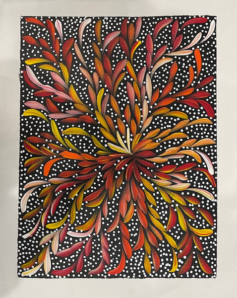 #68 Bush Medicine Leaves & Seeds - LOUISE NUMINA : Aboriginal Art: 31 x 41cm