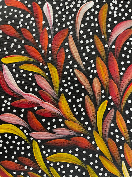 #68 Bush Medicine Leaves & Seeds - LOUISE NUMINA : Aboriginal Art: 31 x 41cm