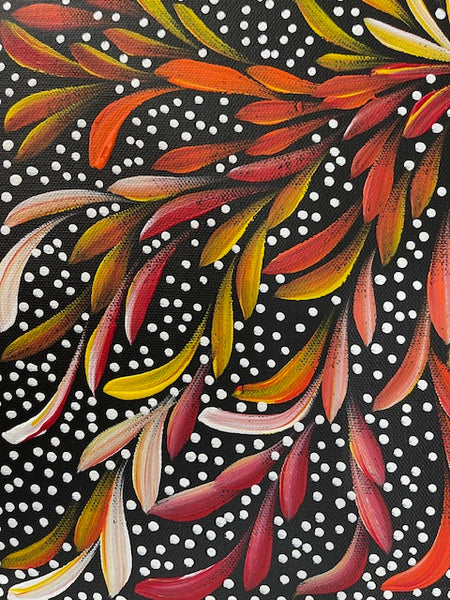 #68 Bush Medicine Leaves & Seeds - LOUISE NUMINA : Aboriginal Art: 31 x 41cm