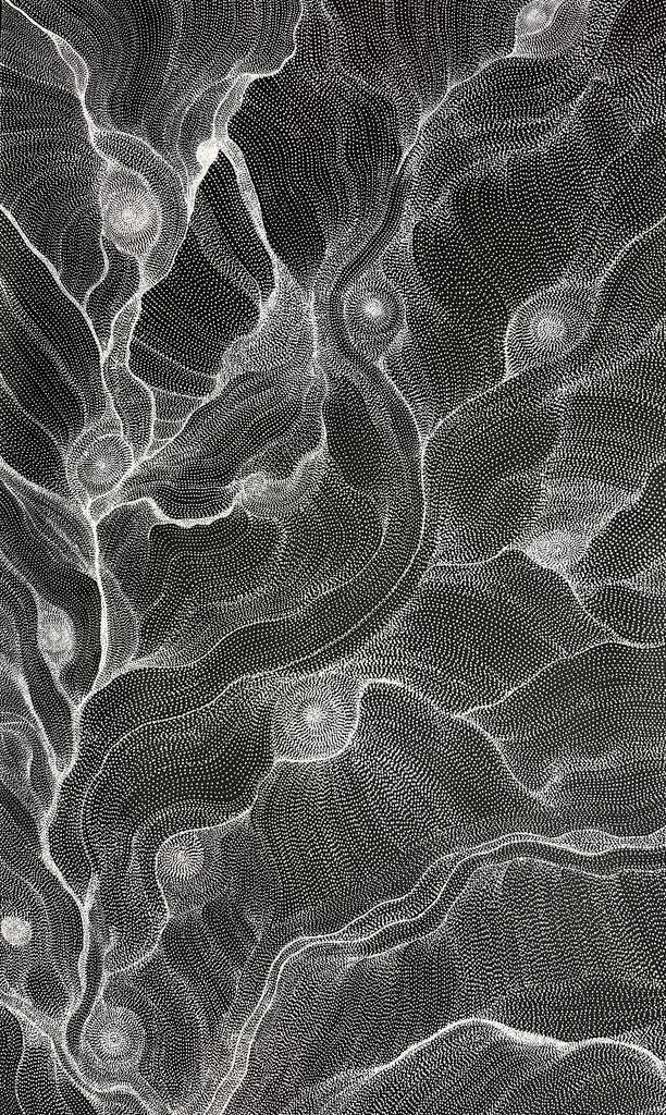 #248 My Country Dreaming (Black/White) ANNA PETYARRE: Aboriginal Art: 95cm x 153cm