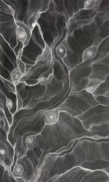 #248 My Country Dreaming (Black/White) ANNA PETYARRE: Aboriginal Art: 95cm x 153cm