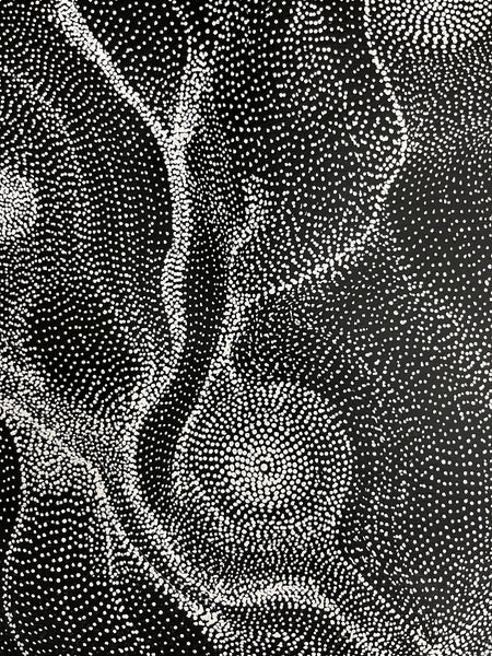 #248 My Country Dreaming (Black/White) ANNA PETYARRE: Aboriginal Art: 95cm x 153cm