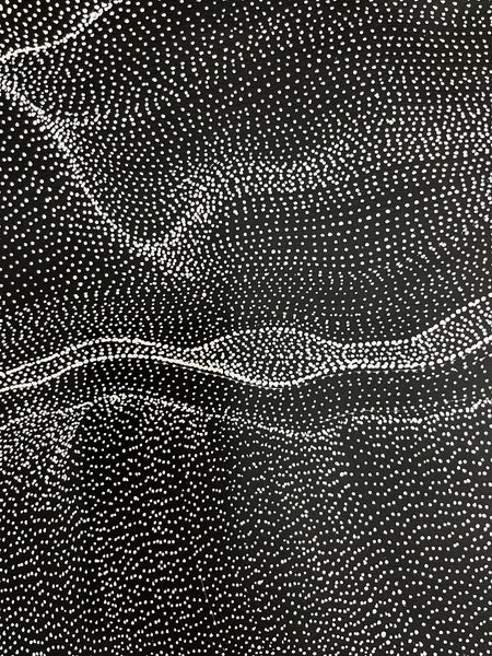 #248 My Country Dreaming (Black/White) ANNA PETYARRE: Aboriginal Art: 95cm x 153cm