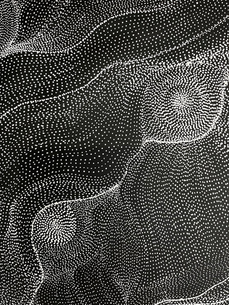 #248 My Country Dreaming (Black/White) ANNA PETYARRE: Aboriginal Art: 95cm x 153cm