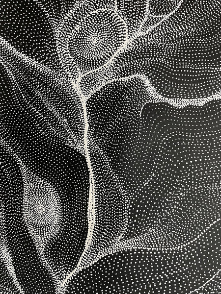 #248 My Country Dreaming (Black/White) ANNA PETYARRE: Aboriginal Art: 95cm x 153cm
