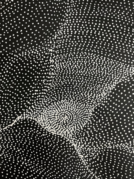 #248 My Country Dreaming (Black/White) ANNA PETYARRE: Aboriginal Art: 95cm x 153cm