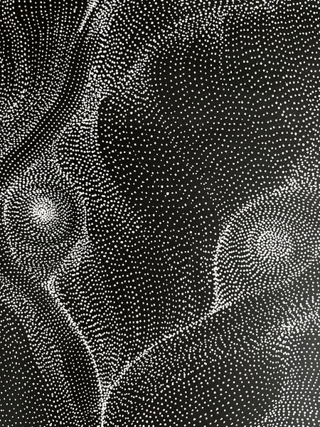 #248 My Country Dreaming (Black/White) ANNA PETYARRE: Aboriginal Art: 95cm x 153cm